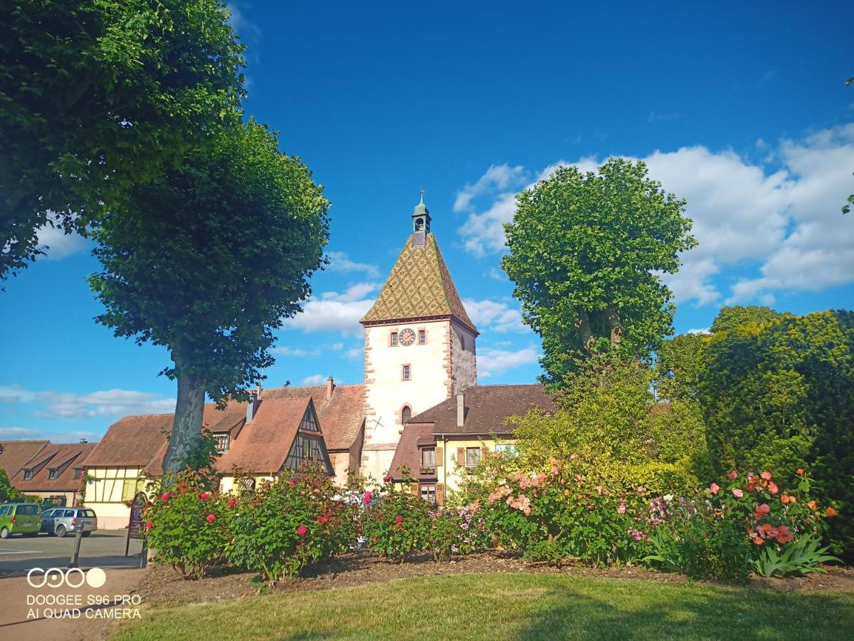 Bergheim Piscineアパートメント エクステリア 写真